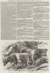 Ausstellung der Royal Agricultural Society of England